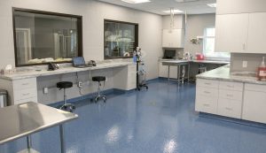 Lab Floors